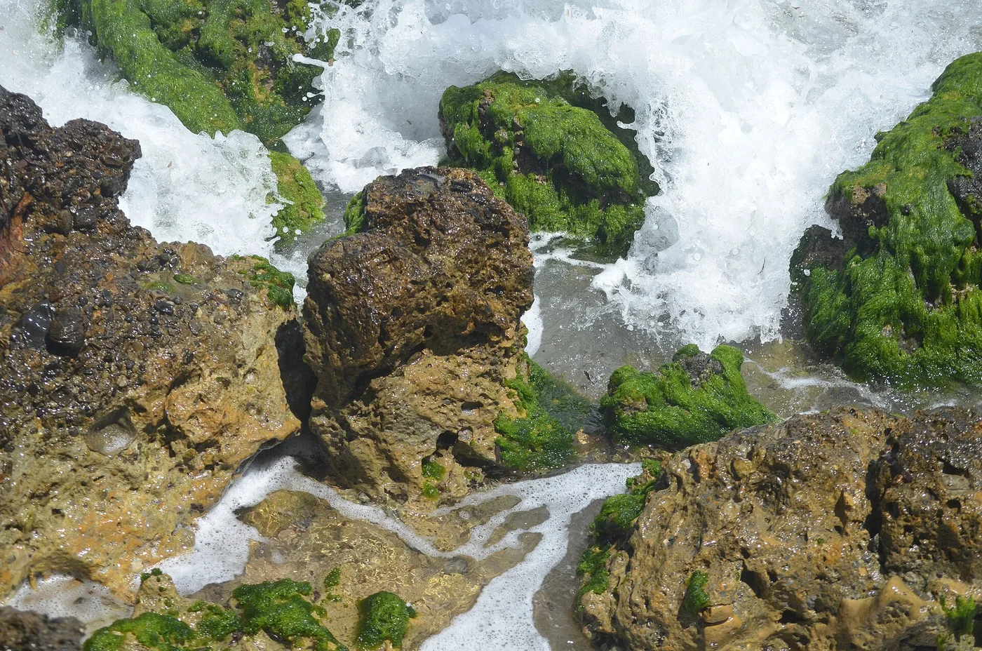 Vincci Nozha Beach Resort & Spa
